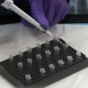 Illustration for article titled Georgia Police Are Using DNA to Identify the Mother of a Human Fetus